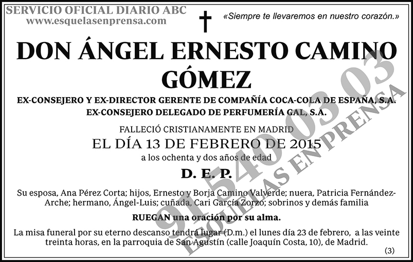 Ángel Ernesto Camino Gómez